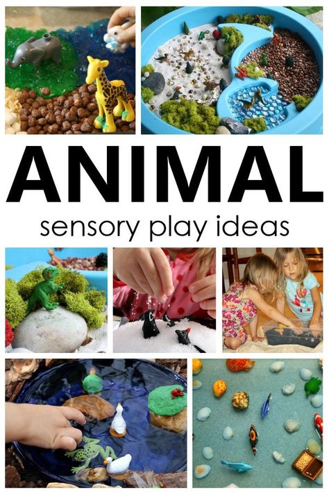 Animal Sensory Play Ideas and Animal Sensory Bins for Toddlers and Preschoolers Sensory Bins Animals, Fine Motor Animal Activities, Animal Activities For Babies, Animal Sensory Activities, Animals Activities For Toddlers, Zoo Activities For Kids, Animal Sounds Activity, Animal Activities For Toddlers, Animal Sensory Play