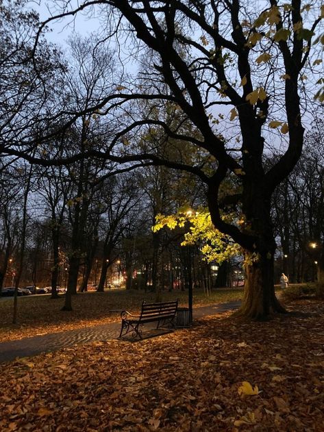 Park In Autumn Aesthetic, Autumn At Night Aesthetic, Dark Fall Aesthetic Pictures, Autumn Night Aesthetic Cozy, Fall Evening Aesthetic, Fall At Night Aesthetic, Autumn Nostalgia Aesthetic, Autumn Aesthetic Night, Dark Fall Pictures