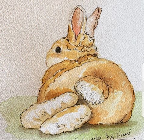 Bunny Painting Ideas, Rabbit Illustration Drawing, Bunnies Painting, Bunny Rabbit Art, Rabbit Pictures, Bunny Watercolor, Rabbit Drawing, Funny Image, Bunny Painting