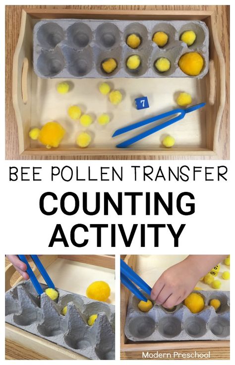 Bee pollen transfer counting activity for preschoolers and toddlers! Practice identifying numbers, counting, and strengthening fine motor skills with pretend pollen! Bumblebee Activities For Preschool, Bee Activities Eyfs, Bees Eyfs, Minibeasts Eyfs Activities, Eyfs Minibeasts, Bee Inquiry, Minibeasts Eyfs, Counting Activities For Preschoolers, Bug Activities