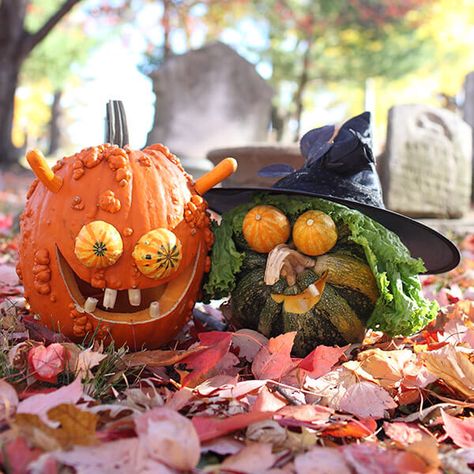 Take a journey with us through an enchanted forest where the pumpkins are creative yet frightfully easy to make. Follow our simple instructions to create the perfect jack-o’-lantern. This adorably ugly couple has found true Halloween love. To duplicate this duo of doom, first you’ll need to peruse your pumpkin patch for a long, curvy-stemmed pumpkin or gourd and a warty-fleshed pumpkin (such as the knucklehead variety). Creative Pumpkin Carving, Easy Pumpkin Carving, Pumpkin Contest, Pumpkin Carving Ideas, Lantern Ideas, Spooky Halloween Party, Creative Pumpkins, Pumpkin Ideas, Pumpkin Art