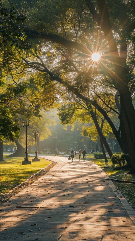 Sunlit Park Walk: A tranquil park bathed in sunlight, featuring a path lined with trees and early morning walkers. #sunlight #park #trees #morning #walking #path #nature #serene #aiart #aiphoto #stockcake https://ayr.app/l/C67L Nature Stock Photos, Walking Early In The Morning, Stroll In The Park, Walking For Mental Health, Walking Park Aesthetic, Walks In The Park, Walk In Nature Aesthetic, Park Walk Aesthetic, Nature Walks Aesthetic