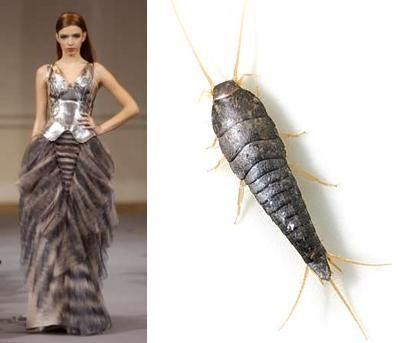 Biomorphic Design, Insect Dress, Nature Inspired Fashion, Fish Dress, Tailored Fashion, Prom Dress Inspiration, Fashion Icons, Textiles Fashion, Altered Books