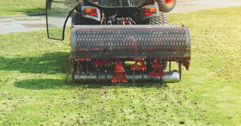 What's New On BobVila.com - Page 2 Lawn Aeration, Lawn Problems, Zoysia Grass, Fall Lawn, Lawn Turf, Aerate Lawn, Healthy Lawn, Lawn And Landscape, Landscape Plans