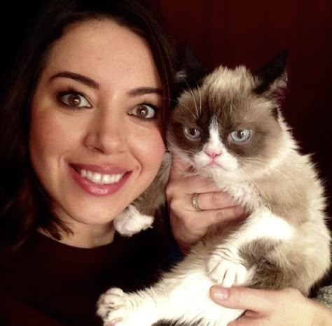 Aubrey Plaza Funny, Aubrey Plaza, Grumpy Cat, We Heart It, Lost, Tumblr, Funny, Twitter