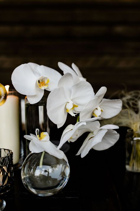 White phalaenopsis orchid bud vase centerpiece Orchid Bud Vase, Katrina Wedding, White Orchid Centerpiece, Orchid Centerpieces Wedding, White Phalaenopsis Orchid, Minimal Wedding Decor, White Orchids Wedding, Orchid Centerpiece, Bud Vase Centerpiece