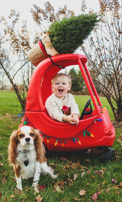 Toddler Christmas photo One Year Old Christmas Birthday Photos, 2nd Christmas Photos, At Home Toddler Christmas Photoshoot, 1 Year Christmas Photoshoot, Christmas One Year Old Photoshoot, Baby And Toddler Christmas Photos, Toddler Christmas Picture Ideas, Diy Christmas Toddler Photoshoot, Toddler Christmas Cards Photo Ideas