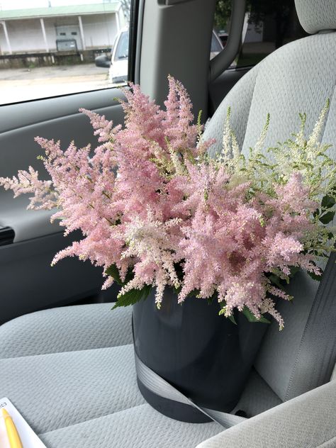 Astilbe Flowers List, Astilbe Flower, Astilbe Bouquet, Pink Astilbe, List Of Flowers, Floral Inspiration, Flowers Bouquet, Floral Wedding, Pink Flowers