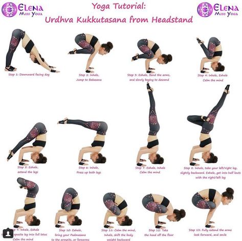 Tripod Headstand, Crane Pose, Arm Balance, Headstand Yoga, Manipura Chakra, Poses For Beginners, Yoga Inspo, Yoga Poses Advanced, Yoga Tutorial