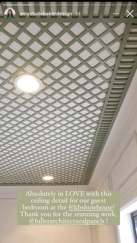 Lattice Ceiling Design, Lattice Interior Design, Interesting Ceiling Design, Sunroom Ceiling Ideas, Ceiling Trellis, Trellis Ceiling, Serena And Lily Style, Lattice Ceiling, Unique Ceiling Ideas