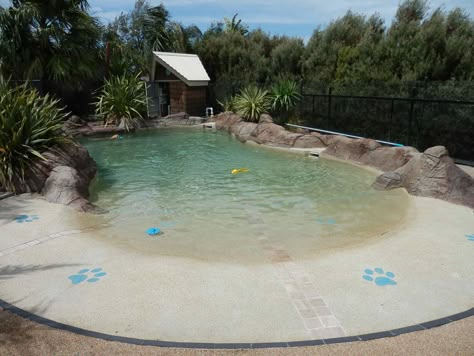 Dog Swimming Pools | Here's a dog's eye view of the water. Inviting! Dog Boarding Ideas, Dog Boarding Facility, Dog Swimming Pools, Dog Hotel, Dog Yard, Dog Playground, Dog Pool, Pet Resort, Dog Swimming