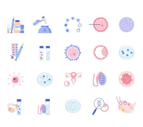 In Vitro Fertilization, In Vitro, Fertility, Premium Vector, Graphic Resources, Medicine, Medical, Science, Graphic Design