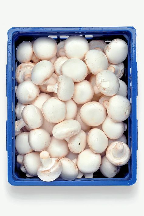 The image shows a blue plastic crate full of white button mushrooms. The mushrooms are all closed and have a smooth, even surface ->> more details in ai-img-gen.com Plastic Crate, White Button Mushrooms, Plastic Crates, Button Mushrooms, Stuffed Mushrooms, Blue, Quick Saves, White