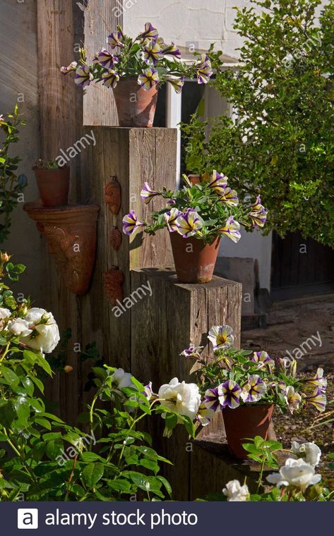 Download this stock image: Flower pots displayed on wooden railway sleepers in english garden - 2EX2PHT from Alamy's library of millions of high resolution stock photos, illustrations and vectors. Sleeper Wood Garden Ideas, Small Garden Sleeper Ideas, Old Railway Sleepers Garden Ideas, Railway Sleeper Fence Ideas, Railway Sleepers Ideas, Railway Sleepers Garden Ideas, Sleepers Garden Ideas, Seaside Bungalow, Gravel Garden Ideas