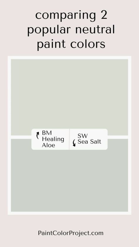 Looking for the perfect blue-green paint color for your home? Let’s compare Healing Aloe vs Sea Salt to see if one might be perfect for your space! Bm Sea Star, Behr Sea Salt, Sea Green Paint Colors, Aloe Paint Color, Healing Aloe Paint, Bm Healing Aloe, Cool Paint Colors, Healing Aloe Benjamin Moore, Sw Sea Salt