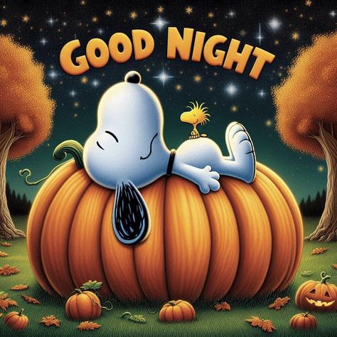 Goodnight Snoopy, Good Night Cat, Beautiful Good Night Quotes, Happy Day Quotes, Good Night Funny, Good Morning Happy Friday, Halloween Wishes, Happy New Year Wallpaper, Snoopy Funny