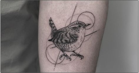 Winter Wren Tattoo, Wren Tattoos For Women, Wren Line Drawing, House Wren Tattoo, Wren Tattoo Design, Cactus Wren Tattoo, Carolina Wren Tattoo, Fairy Wren Tattoo, Warbler Tattoo