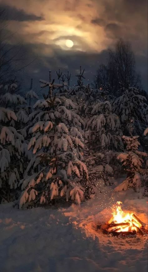 Beautiful Winter Pictures, Magical Images, Dark Christmas, I Love Winter, Winter Love, Winter Magic, Winter Wallpaper, Winter Scenery, Winter Beauty