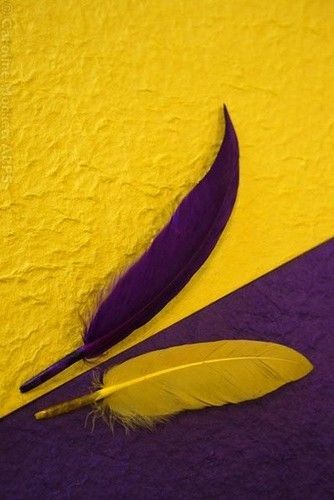 Contrast Photography, Yellow Violet, Yellow And Purple, Color Harmony, Purple Violet, Complimentary Colors, Yellow Aesthetic, Foto Inspiration, Mellow Yellow