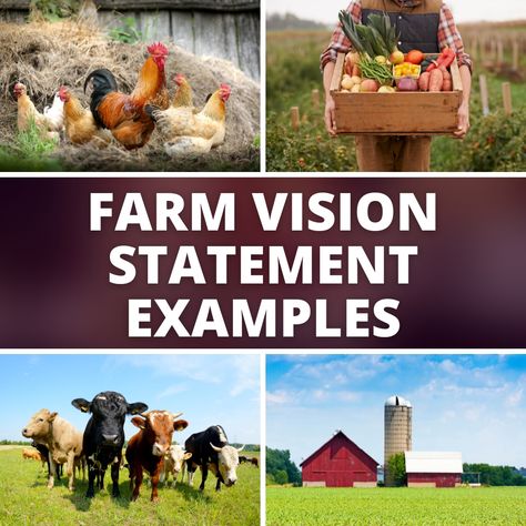 Farm Work, Agriculture Business Plan, Vision Statement Examples, Agritourism Farms, Farm Marketing, Agriculture Business, Starting A Farm, Vision Statement, Farm School