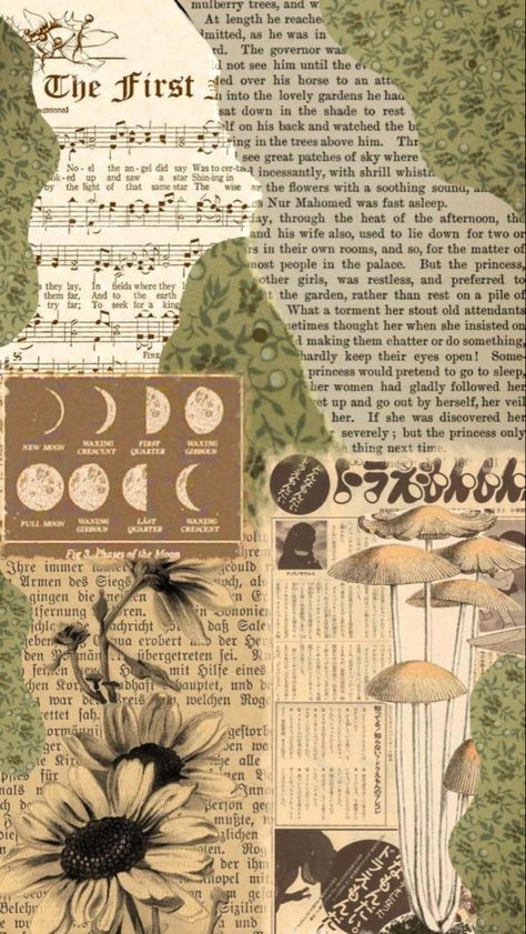 Wallpapers Vintage Homescreen, Vintage Cottagecore Prints, Gremlincore Background, Cottagecore Homescreen Wallpaper, Cottagecore Posters Aesthetic, Book Aesthetic Prints, Herbology Wallpaper Aesthetic, Cottage Core Aesthetic Collage, Mushroom Collage Wallpaper