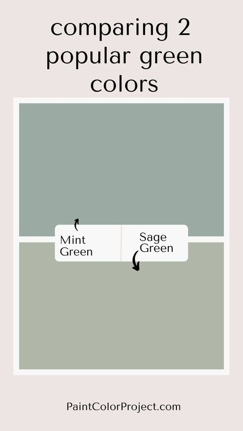 Mint green vs Sage green Mint Green And Sage Green, Mint And Sage Green, Mint Paint Colors, Mint Green Color Palette, Mint Color Palette, Mint Color Palettes, Sage Green Paint Color, Mint Paint, Colour Names