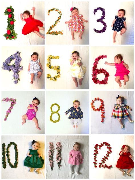 Monthly baby pictures with flowers 2 Month Baby Picture Ideas September, Baby Girl Monthly Photoshooting Ideas, Flower Monthly Milestone Pictures, Flower Milestone Pictures, 8 Month Baby Photoshoot September, Every Month Baby Pictures Photo Ideas, 1 Month Baby, 4 Month Baby, One Month Baby