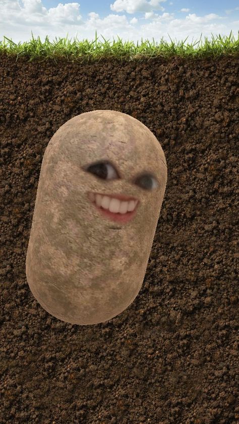 Potato Background Aesthetic, Funny Potato Pictures, Potato Pfp, Cute Potato Cartoon, Potato Meme, Potato Picture, Glasses Wallpaper, Funny Potato, Live Screen