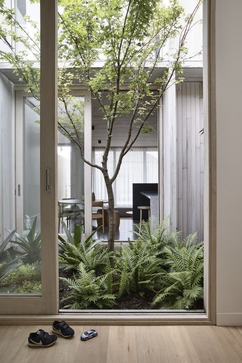 Silvertop House by Tom Robertson Architects - Project Feature - The Local Project - The Local Project Edwardian Cottage, Grey Brick Wall, Atrium Garden, Atrium House, Courtyard Design, Internal Courtyard, Landscape Elements, Front Rooms, Light Well