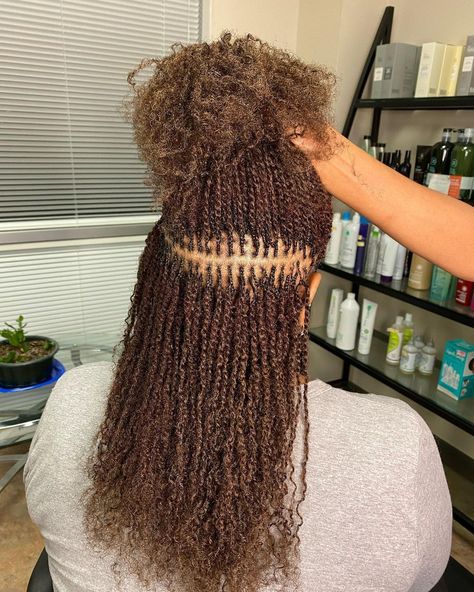 using twists to start microlocs Micro Twist Locs Extensions, Kinking Braids Hair Styles, Cornrows On Microlocs, How To Maintain Micro Twist, Twist Locs, Microlocs Installation, Microlocs Retie, Silk Press Hair, Latest Hair Braids