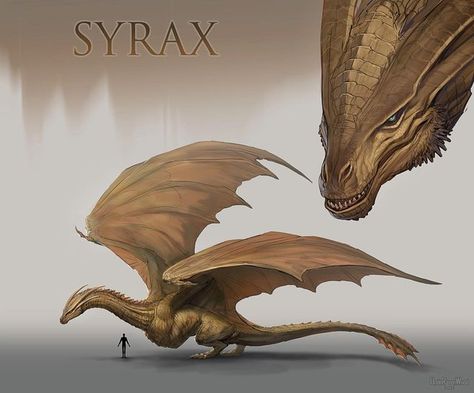 Raven on Instagram: "• Syrax • A little sad that Syrax doesn’t have any cool aliases, like “The Golden Queen” or “Realm’s Heart”. If you were to pick one for her, what would it be? I know a lot of you have also requested Balerion, but I think I wanna do a few more smaller/medium dragons before I get to that beast. Especially the ones that have more screen time, so I can actually see what they look like in the show X) #syrax #syraxthedragon #hotd #houseofthedragon #wyvern #wyvernart" Viserys I Targaryen, Targaryen Dragons, Aesthetic Dragon, Order Of The Dragon, Golden Queen, Game Of Thrones Artwork, Game Of Thrones Dragons, Got Dragons, Fantasy Animals