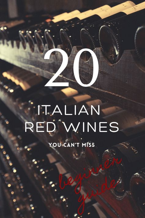 Red Wines Guide, Roast Rabbit, Italian Red Wine, Best Red Wine, Aged Cheese, Wine Vineyards, Spicy Seasoning, Brown Sauce, Red Wines