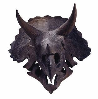 Triceratops skull Triceratops Skull, Dinosaur Tattoos, Animal Skull, Floating City, Paleo Art, Dinosaur Fossils, Dinosaur Art, Dragon Artwork, Prehistoric Animals