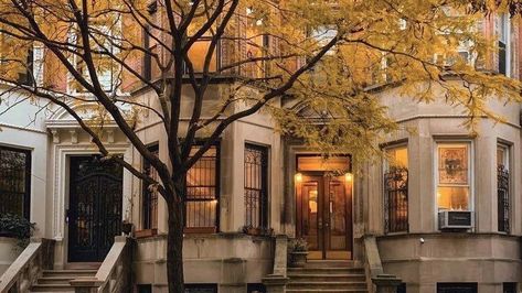 Nyc Fall, Fall Mood Board, Gilmore Girl, Autumn In New York, Nyc Life, New York Life, Best Seasons, Yellow Leaves, Autumn Cozy