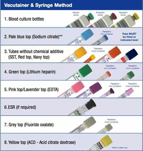 Blood Collection Blood Collection Tubes Chart, Phlebotomy Notes, Phlebotomy School, Hematology Nursing, Medical Essentials, Blood Drawing, Phlebotomy Study, Phlebotomy Technician, Order Of Draw