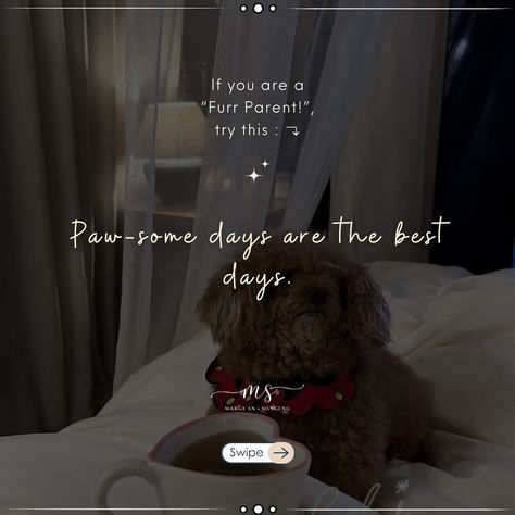 “Love is a four-legged word” 🥰 🏷️ #furrbaby #dogs #doglover #quoteoftheday #captionideas #notes #instagram tips #randomideas #fyp #margesn #caption Notes Instagram, One Word Caption, Beads Bracelet Design, Bracelet Design, One Word, Instagram Tips, Beads Bracelet, Four Legged, Bracelet Designs