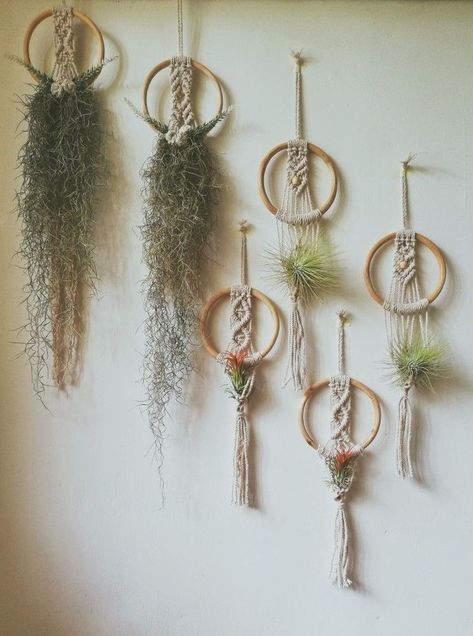 Diy Macrame Tutorial, Air Plants Decor, Plant Hanger Macrame, Macrame Plant Hanger Patterns, Fleurs Diy, Diy Macrame Plant Hanger, Macrame Wall Hanging Diy, Wall Hanging Macrame, Macrame Hanger