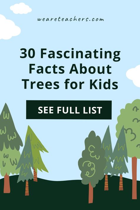 These facts about trees are great for sharing during a science lesson. Your students will be amazed with these fascinating foliage facts! Facts About Trees, Nature Lessons, Trees For Kids, About Trees, Teaching Themes, Teaching Plan, Teaching Third Grade, We Are Teachers, Earth Day Crafts