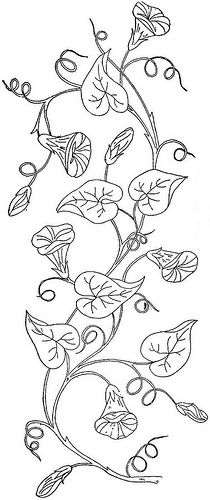 1888 Ingalls Morning Glory Vine | Flickr - Photo Sharing! Morning Glory Vine, Vine Drawing, Flowers Drawing, Morning Glories, Wood Burning Patterns, Sales Page, 자수 디자인, Kirigami, Hand Embroidery Patterns