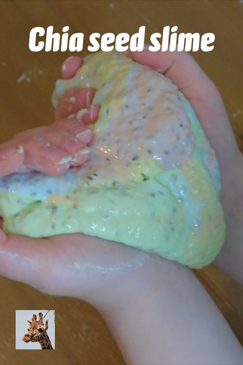 We made slime from chia seeds, water and cornflour (cornstarch) plus food colouring to give a rainbow effect.  Fun to make with children, and an intriguing substance to play with, behaving like a mix between a solid and a liquid.  Less messy than oobleck. #chiaseeds #slime #chiaslime #rainbowslime #sensoryplay #scienceathome #makingslime #preschoolscience #primaryscience #kidsscience Chia Seed Slime, Chia Seeds Water, Cornstarch Slime, Chai Seed, Edible Slime, Rainbow Slime, Primary Science, How To Make Slime, Food Colouring