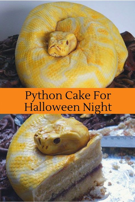 Python Snake cake: This reptile here is waiting to feed your guests on its body. But who’s going to get the head? Rubber Duck Cake, Dumbo Cake, Haunted House Cake, Bumble Bee Cake, Mint Chocolate Cheesecake, Snake Cakes, Lumberjack Cake, Halloween Wedding Cakes, Cowgirl Cakes