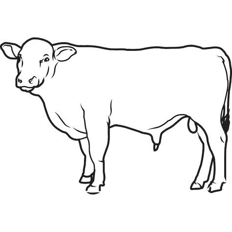 Vector hand sketched hand drawn beefalo ... | Premium Vector #Freepik #vector #cow-sketch #bison #bullhorn #cattle Cattle Drawing, Cow Sketch, Hereford Cattle, Farm Svg, Bull Horns, Hereford, Hand Sketch, Vector Hand, Line Drawing