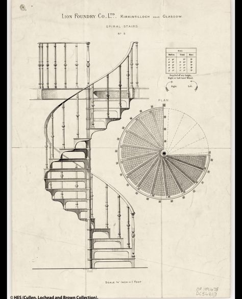 Staircase Tattoo, Staircase Drawing, U Shaped Staircase, Biomimicry Architecture, How To Draw Stairs, Staircase Architecture, Painted Staircases, Spiral Staircases, Traditional Staircase