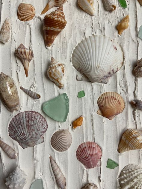 Shell Spackle Art, Seashell Canvas Art Diy, Seashell Art Spackle, Seashell On Canvas, Seashell Textured Art, Displaying Seashells, Shells On Canvas, Aesthetic Seashell Diys, Seashell Canvas