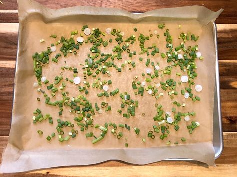 Oven Dried Green Onions from the Garden Dried Green Onions, Dehydrated Onions In The Oven, Dehydrated Green Onions, Drying Green Onions, Dehydrating Green Onions, Drying Chives In The Oven, How To Dry Green Onions, Preserving Green Onions, Dehydrate In Oven