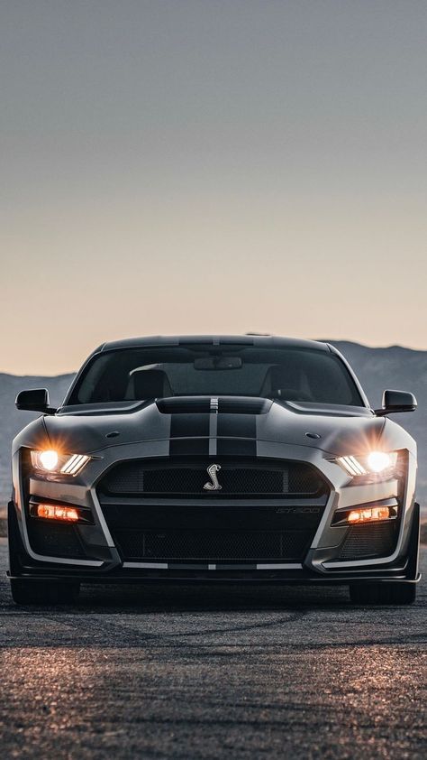 Gt 500 Mustang, Ford Mustang Shelby Gt500 2023, Mustang Gt500 Wallpaper, Mustang Cobra Shelby Gt500, Gt 500 Shelby, Mustang Gt500 Shelby, 2023 Mustang, Cobra Gt500, Shelby Cobra Gt500