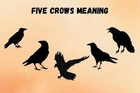 Seeing 5 Crows Spiritual Meaning and Symbolism 1 Crows Meaning, Deeper Meaning, Spiritual Meaning, Crows, Meant To Be, Spirituality