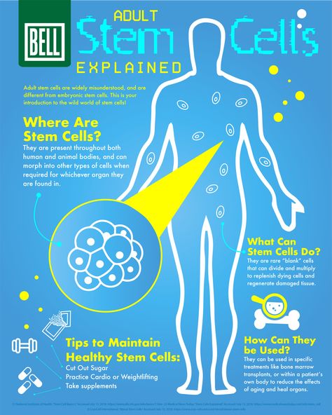 Stem Cells Poster, Medical Poster, Health Infographics, Medical Posters, Stem Cell Therapy, Science Notes, Cell Therapy, Regenerative Medicine, Preventative Health