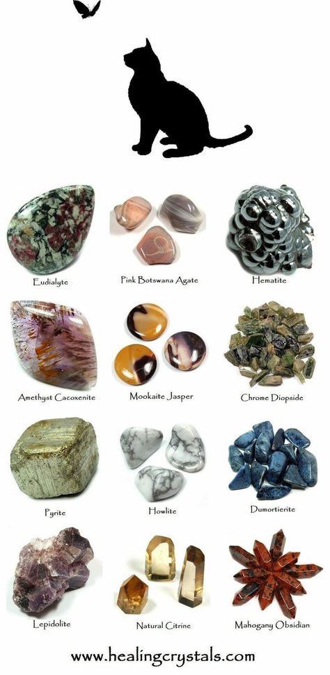 Cat gemstones for cats correspondences for cat totem animal healing crystals Animal Totem Spirit Guides, Cat Totem, Animal Reiki, Animal Spirit Guides, Animal Totem, Spirit Animals, Crystals Healing Properties, Inner Self, Cat S