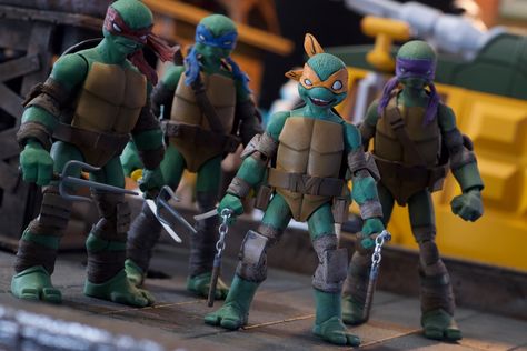 Teenage Mutant Ninja Turtles Idw, Venus De Milo Tmnt Idw, Idw Tmnt, Tmnt Idw, Tmnt 2012 Vision Quest, Custom Tmnt Figures, Tmnt 2012 Figures, Teenage Mutant Ninja Turtles Art, Tmnt Artwork